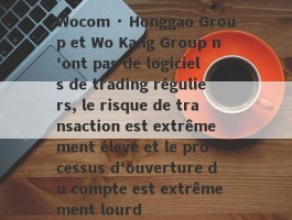 Wocom · Honggao Group et Wo Kang Group n'ont pas de logiciels de trading réguliers, le risque de transaction est extrêmement élevé et le processus d'ouverture du compte est extrêmement lourd