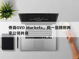 券商GVD Markets，同一张牌照两家公司共用